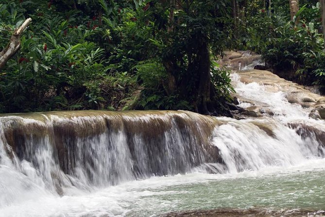 Dunns River Falls Tour From Ocho Rios - Souvenir Shop Commemoration