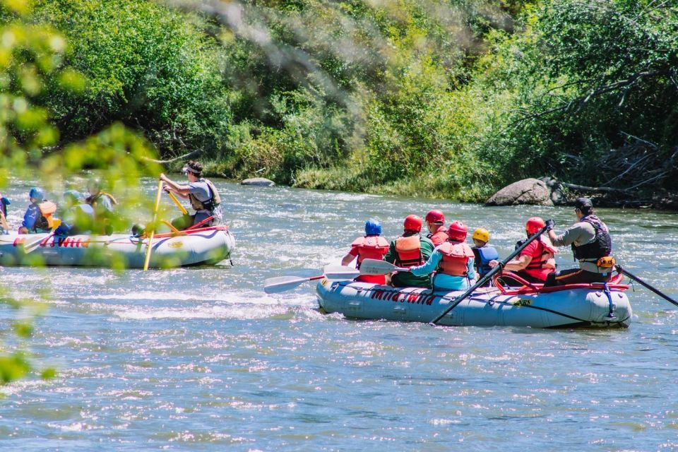 Durango, CO: Whitewater Rafting — 4 Hour Trip - Meeting Location and Shuttle