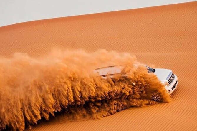 DXB Private Morning Desert Safari With Camel Ride N Sand Boarding - Guest Reviews and Ratings