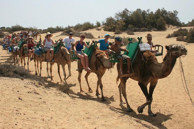 E-Scooter Tour Optional Camel Ride : Maspalomas Dunes & Meloneras - Explore South Grand Canary