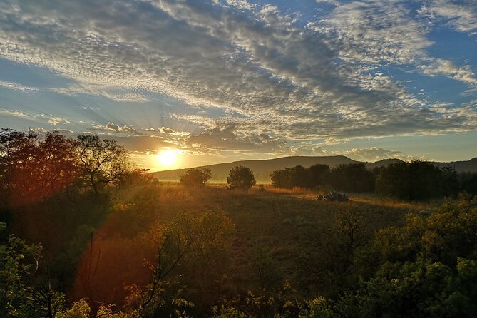 Early Morning Balloon Safari With Breakfast From Magaliesburg - Dietary Accommodations