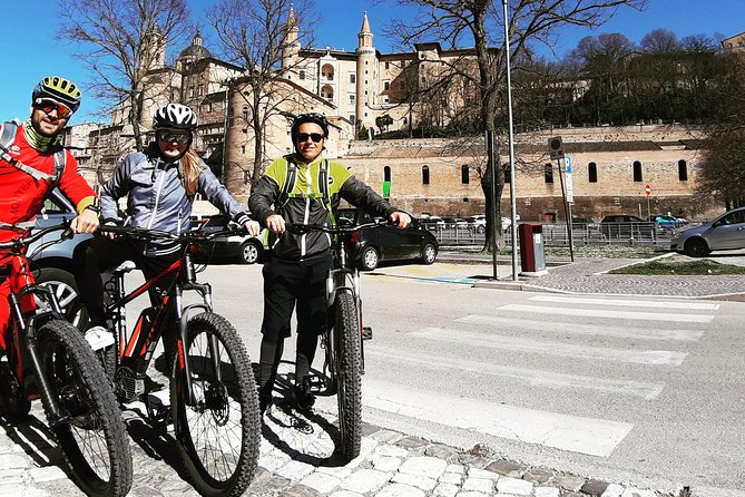 EBIKE Tour With Organic Wine Tasting - Organic Wine Tasting Experience