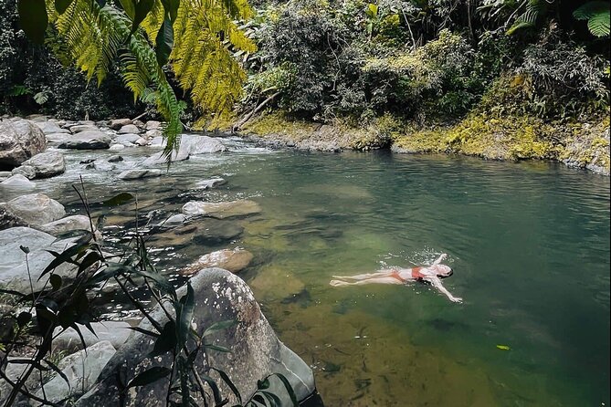 El Yunque National Forest Guided Tour With Transport - Guided Tour Experiences