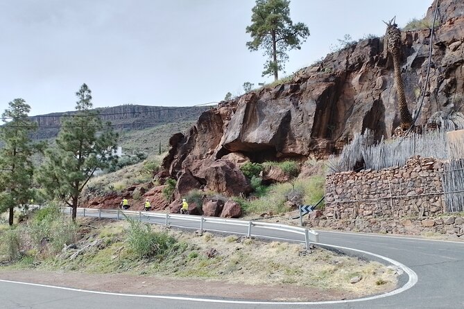 Electric Bike Mountain Tour Optional Tapas in an Aboriginal Cave - Tour Inclusions and Exclusions