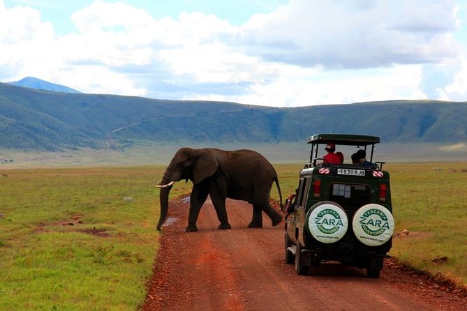 Elephant Special Serengeti & Ngorongoro Crater 5 Days / 4 Nights - Accommodation