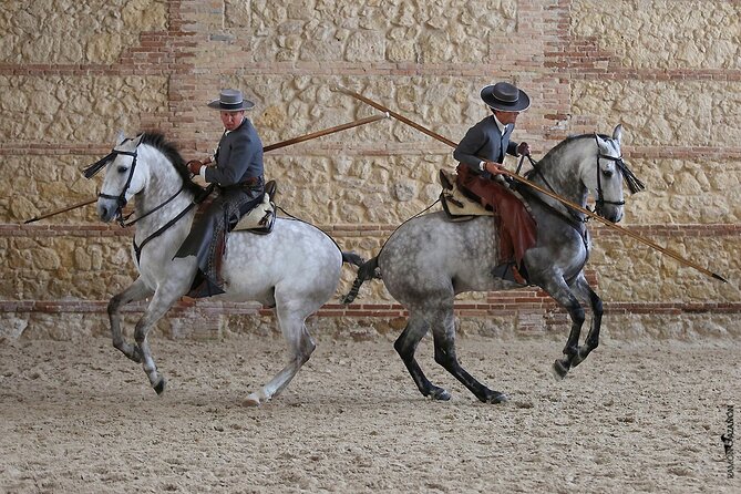 Equestrian Show Royal Stables of Córdoba - Photography and Videography Restrictions