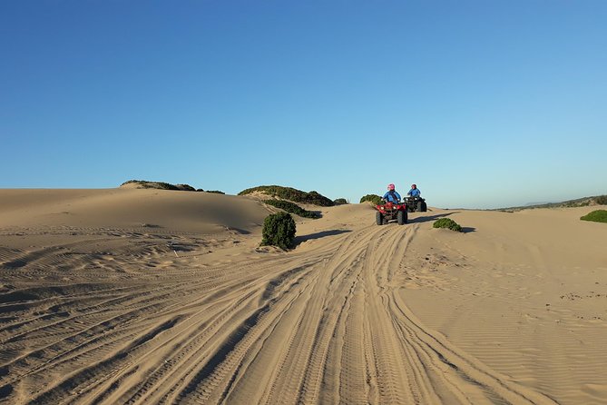 Essaouira: 2-Hour Quad Ride (Free Transfer) - Cancellation Policy