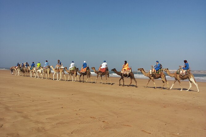 Essaouira: 2h/ Quad + 2h/ Dromedary Free Transfer - Tour Duration