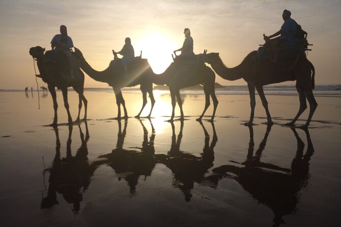 Essaouira Private Camel Ride (1 Hour). - Reviews and Ratings Highlighted