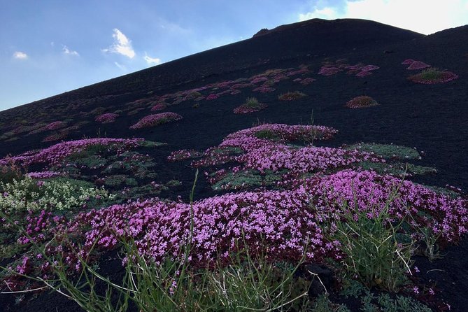 Etna Grantour - 4x4 & Trekking - Return to Meeting Point