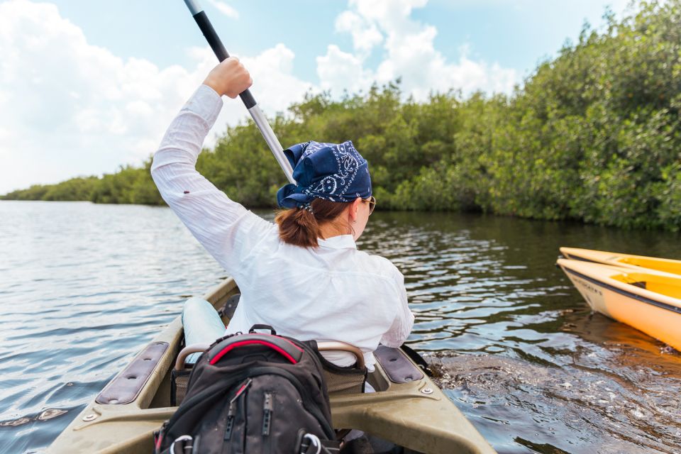 Everglades National Park: Mangrove Tunnel Kayak Eco-Tour - Meeting Point