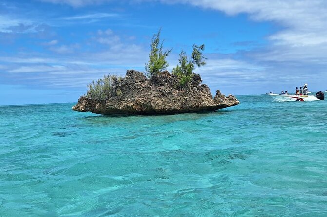 Exciting Dolphin Encounters in the Maurtiuss Lagoon - Booking and Cancellation Policy