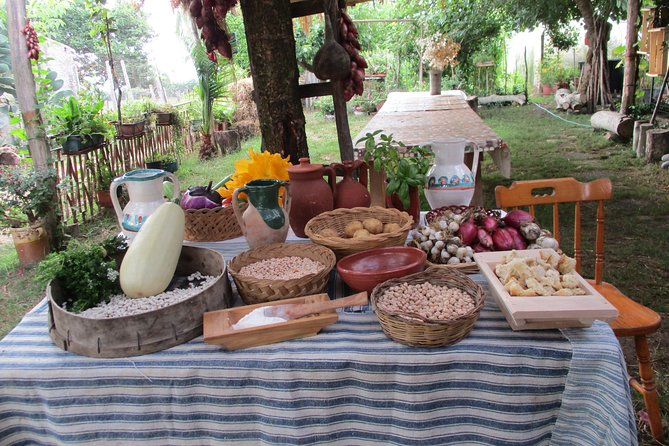 Excursion and Experiential Day (Bread Day) - Tasting of Typical Products