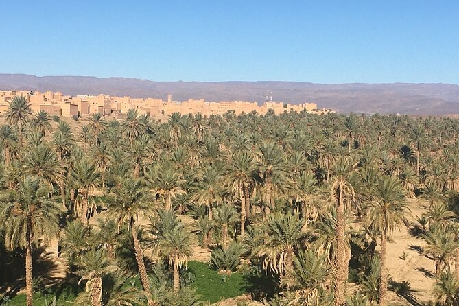 Excursion From Ouarzazate to Draa Valley, Zagora and Dunes of Tinfou - Lunch and Swimming Pool