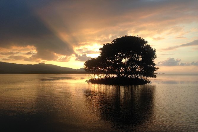 Experience on a Boat off the Beaten Path of the Most Beautiful Lagoon in Guadeloupe - Learning About History and Ecosystem