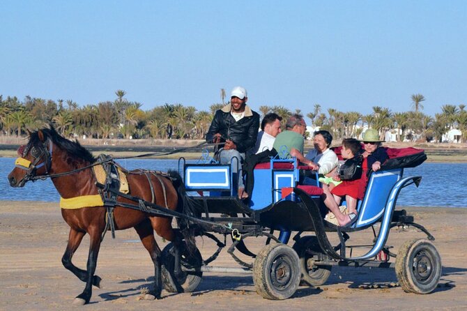 Explore Djerba With Our Four-Legged Friends - Traveler Reviews