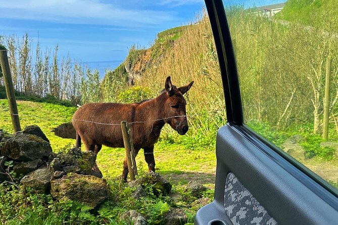 Explore Sete Cidades - Nature Lovers Jeep Tour - Pickup Arrangements