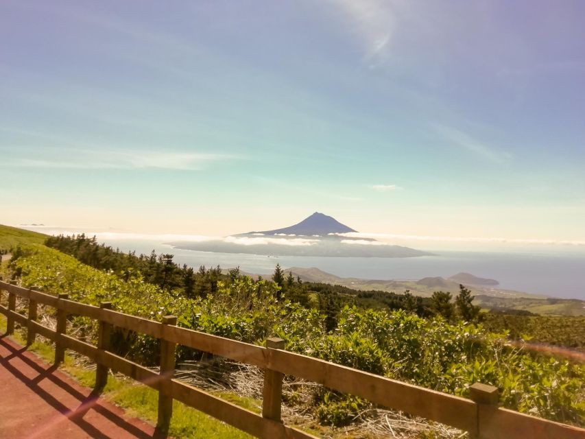 Faial Island: Half Day Tour - the Main Attractions - Transportation and Comfort