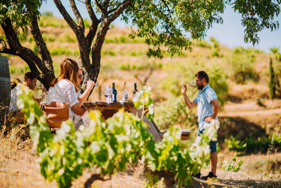 Falset: Guided Wine Tour to the Priorat by a Local - Lunch Options