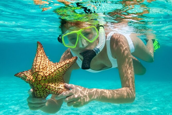 Family Fun-Snorkeling Activity in Montego Bay W/Lunch Stop - Cancellation and Refund Policy