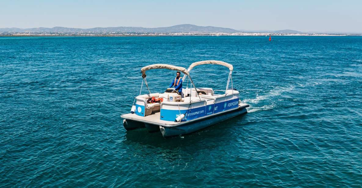 Faro: Deserta Island and Farol Island Catamaran Boat Trip - Wildlife Observation