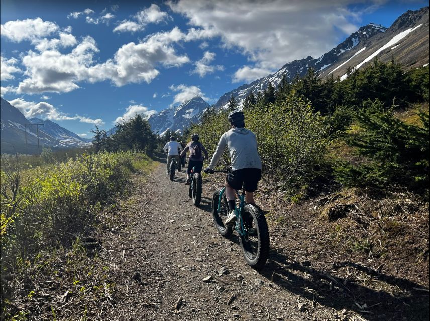 Fat Tire MTB in Chugach State Park Tour - Expert Insights