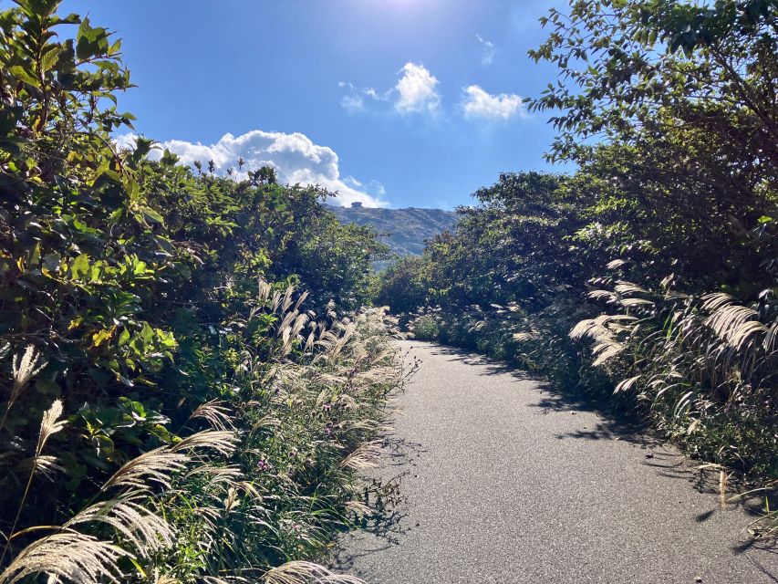 Feel the Volcano by Trekking at Mt.Mihara - Transportation to Mt. Mihara