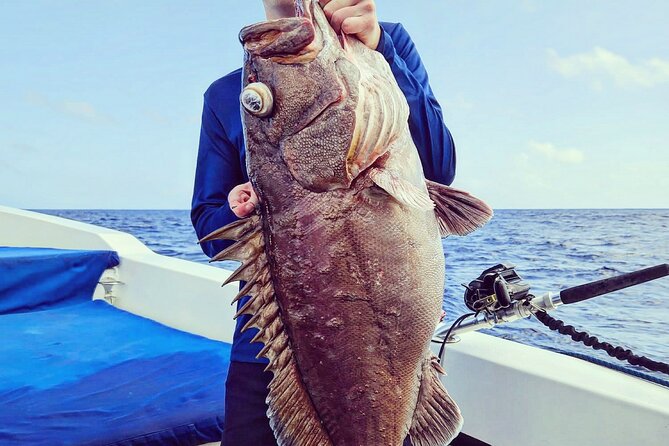 Fish Like a Local - Unique Deep Sea Fishing Adventure - Bonaire Nature Fee Tag