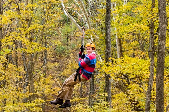 Fontanel Zipline Forest Adventure at Nashville North - Zipline Specifications