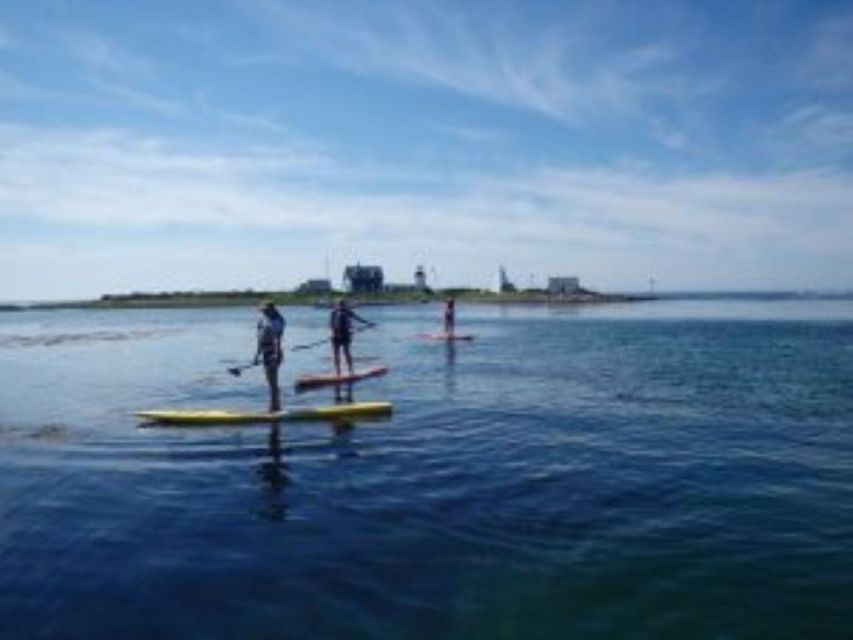 Fort Myers: Guided Kayak or SUP Tour in Pelican Bay - Frequently Asked Questions