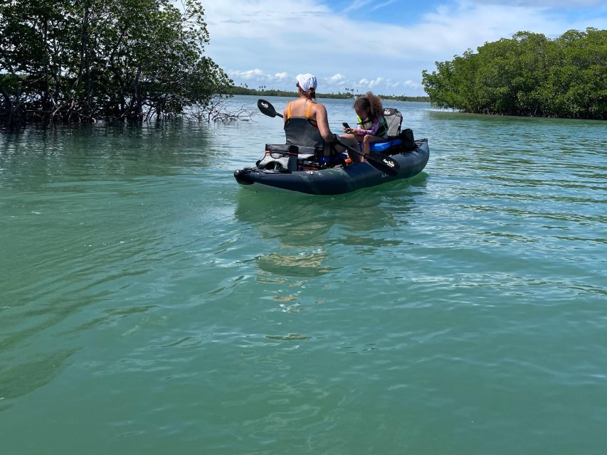 Fort Pierce: 6-hr Mangroves, Coastal Rivers & Wildlife in FL - Paddling Through Mangrove Jungles