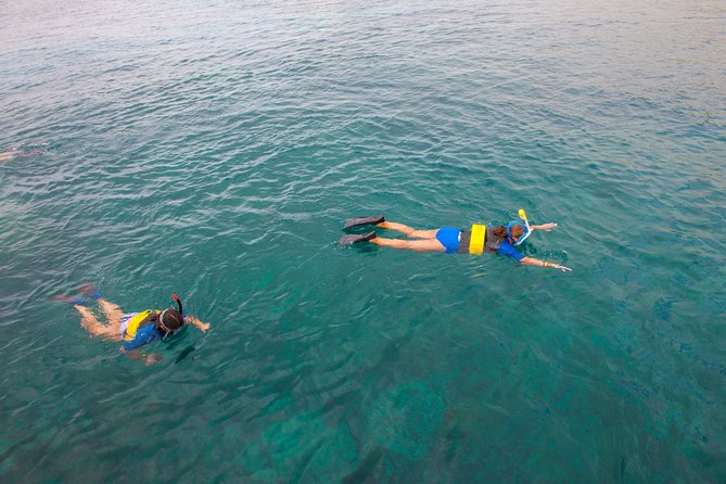 Four Winds Molokini Snorkeling Tour From Maalaea Harbor - Exploring Molokini Crater