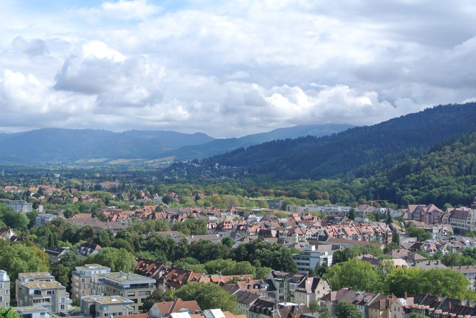 Freiburg - Historic Walking Tour - Navigating the Historic Thoroughfares