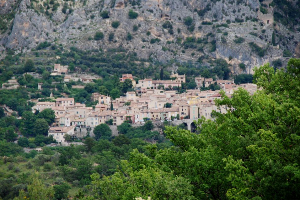 From Aix-En-Provence: Lavender Experience & Gorges Du Verdon - Lavender Fields of Valensole