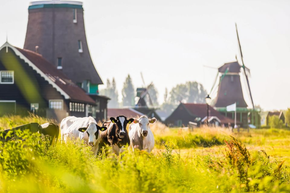 From Amsterdam: Zaanse Schans, Volendam, and Marken Day Trip - Cancellation Policy and Availability