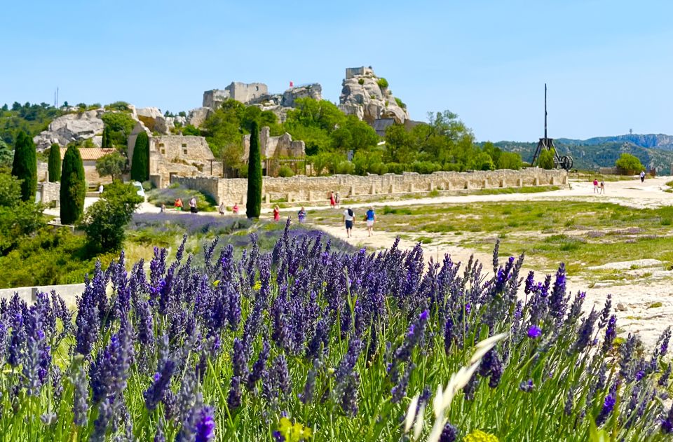 From Avignon: Arles, Les Baux-de-Provence & Saint-Rémy Tour - Languages Offered