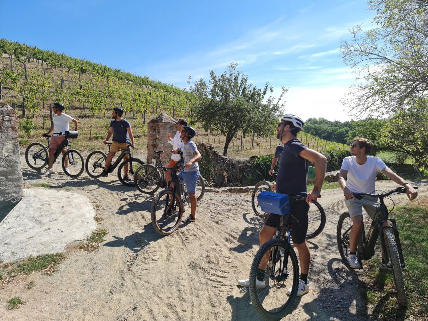 From Beaugency: 5-Day Bike Tour of the Loire Vally Wineries - Accommodations and Dining Experiences