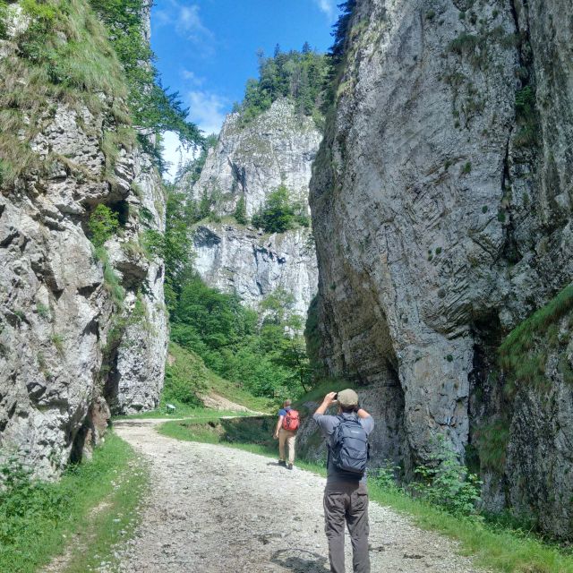 From Brasov: Piatra Craiului National Park 2-Day Guided Trek - Transportation and Transfers