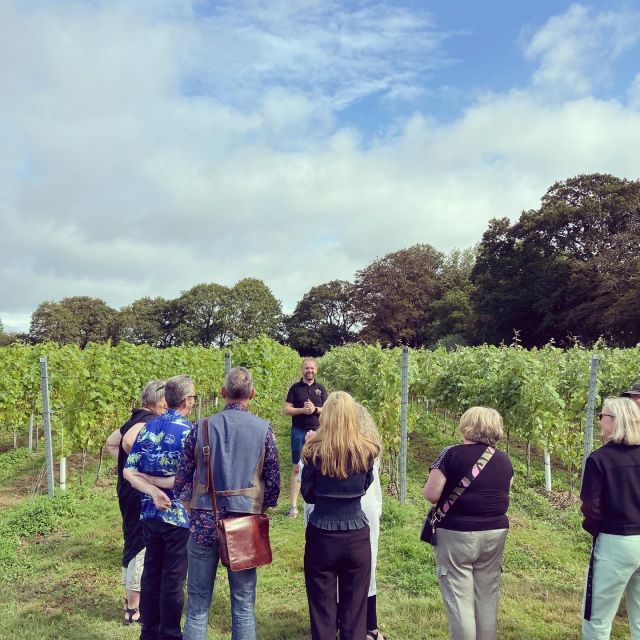 From Brighton: Sussex Wine Tour on a Vintage Bus With Lunch - Tour Duration and Inclusions