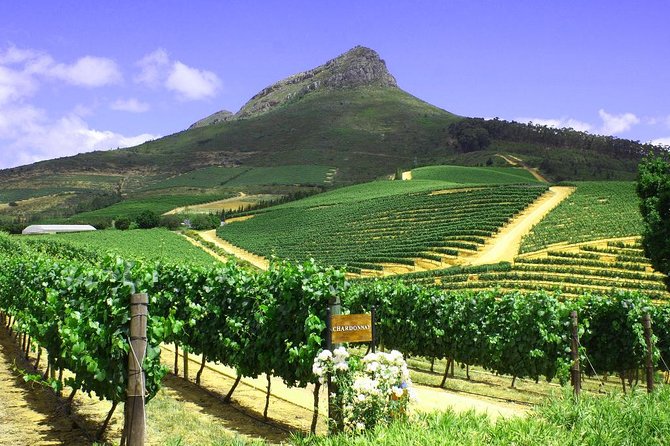 From CapeTown: Stellenbosch Half Day Wine Tour - Transportation Details