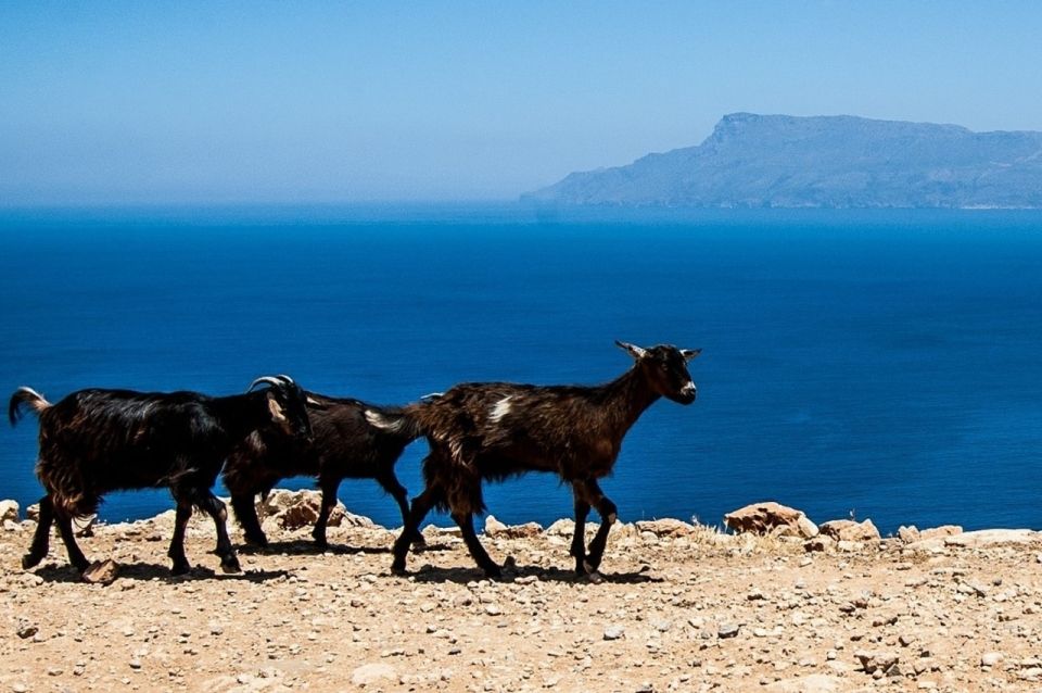 From Chania: Balos Lagoon & Falassarna Private 4WD Road Trip - Relaxing at Falassarna Beach