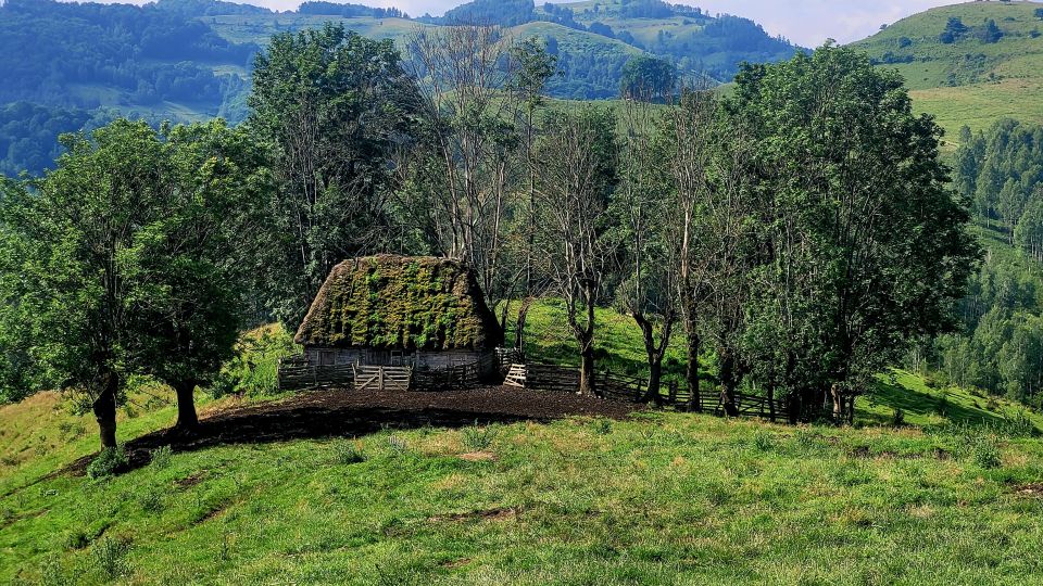 From Cluj-Napoca: Apuseni Mountains Hiking Guided Day Tour - Customer Feedback