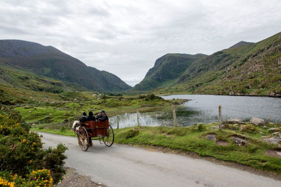 From Cork: 9-Hour Guided Ring of Kerry and Killarney Tour - Meeting Point and Accessibility