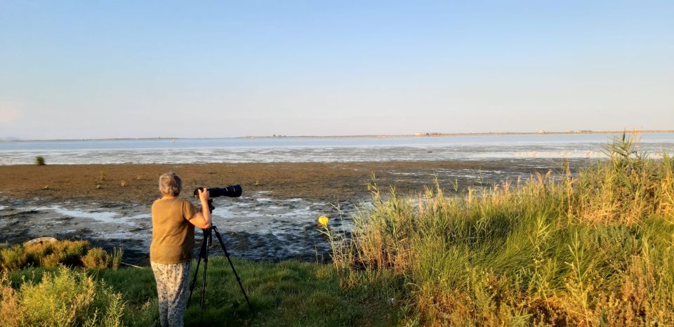 From Deltebre: Ebro Delta National Park Multi-Stop Day Trip - Birdwatching and Salty Plants