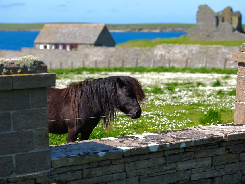 From Edinburgh: 6-Day Shetland & Nothernmost Explorer - Dramatic Coastlines and Northern Landmarks