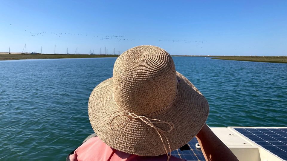 From Faro: Ria Formosa Eco-friendly Solar Boat Tour - Eco-friendly Solar Boat Tour