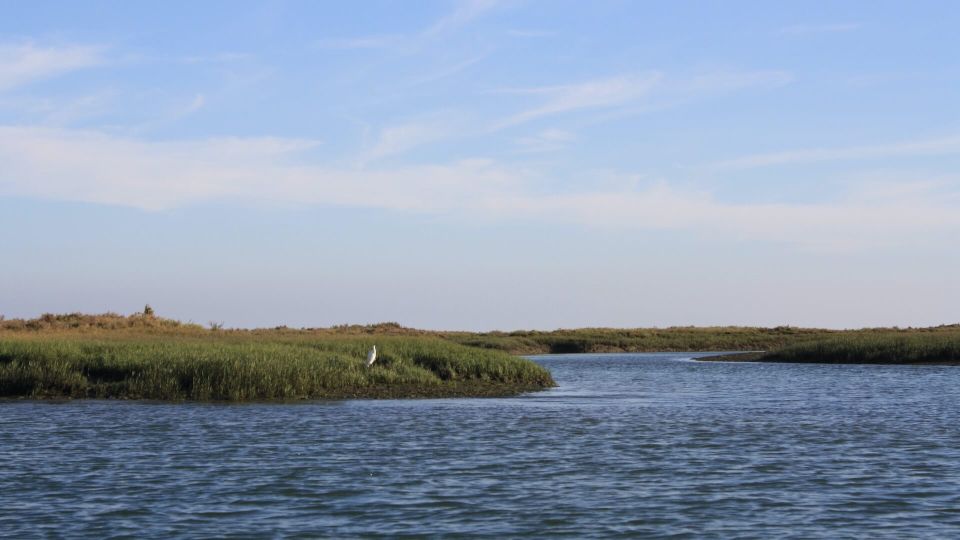 From Faro: Ria Formosa Sunset Boat Trip - Safety Precautions