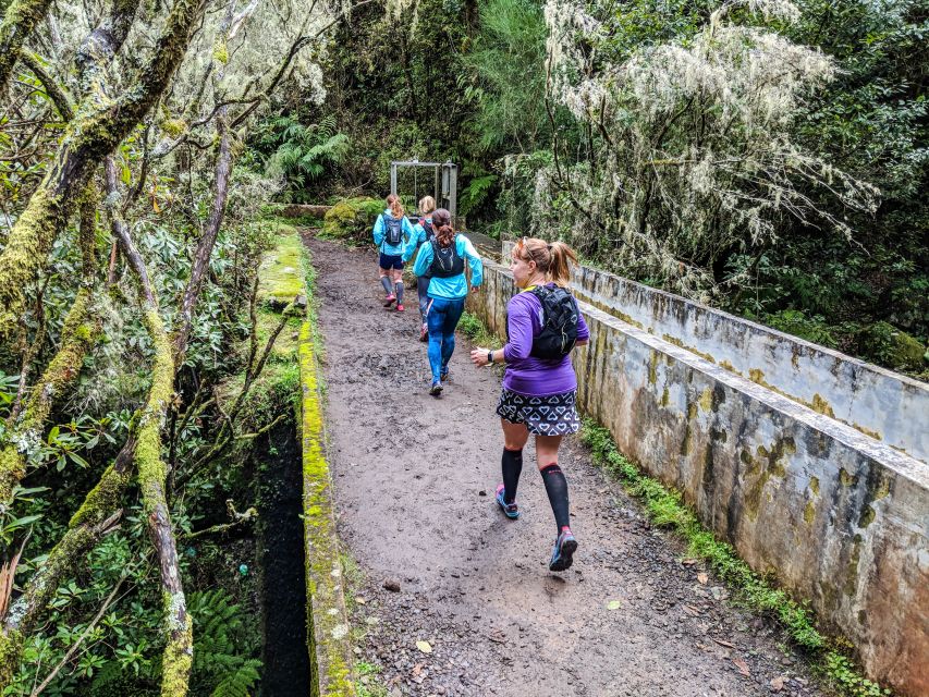 From Funchal: Easy to Moderate Green Levada Running Tour - Customer Feedback