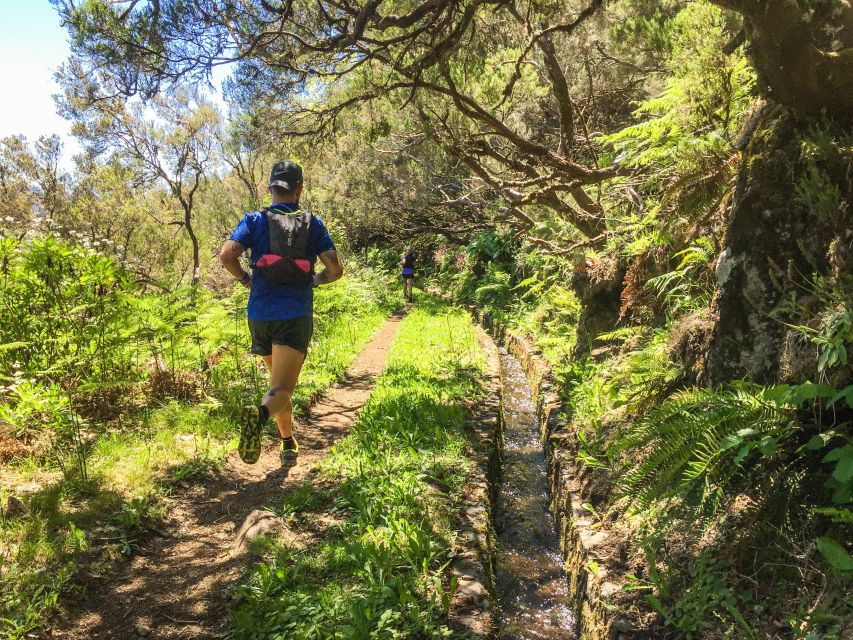 From Funchal: Folhadal Trail Running Tour (Moderate) - Customer Feedback