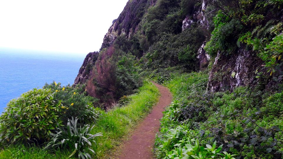 From Funchal: Machico to Porto Da Cruz Hike - Difficulty and Accessibility